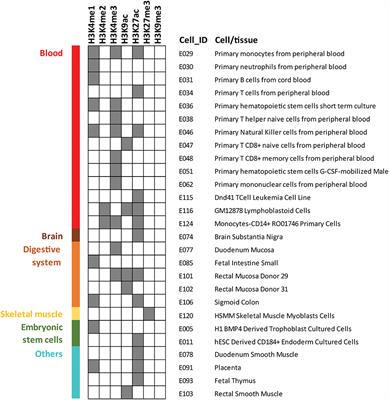 Genetics of Behçet's Disease: Functional Genetic Analysis and Estimating Disease Heritability